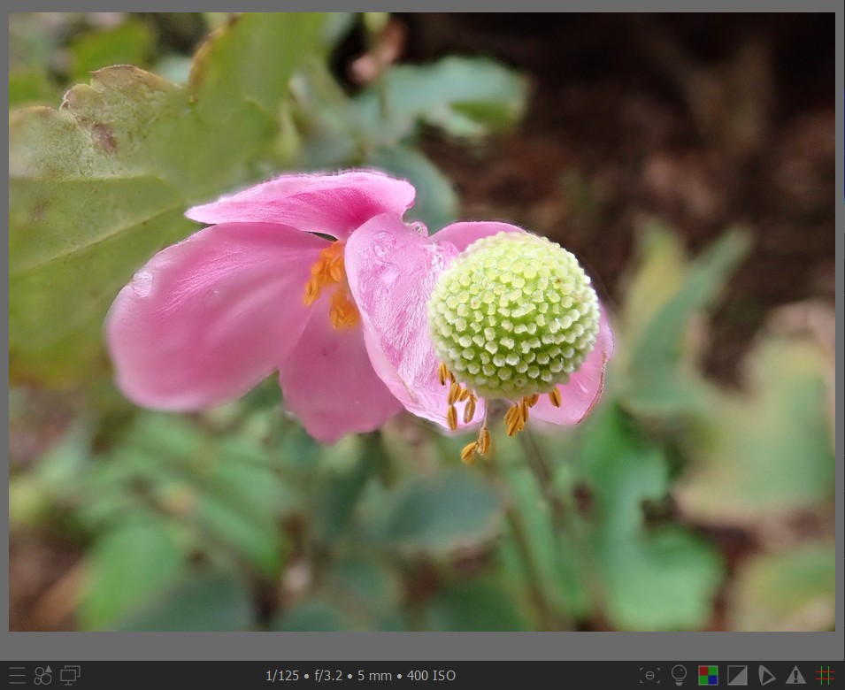 f:id:computer_philosopher:20211103223906j:plain