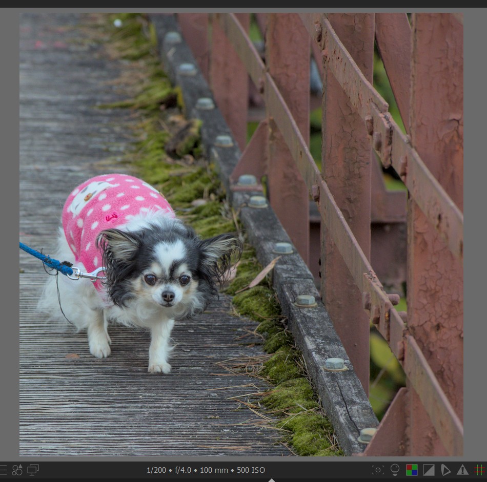 f:id:computer_philosopher:20211117230347j:plain