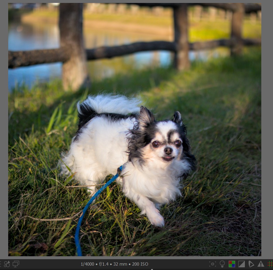 f:id:computer_philosopher:20211117230408j:plain