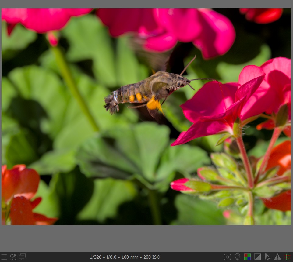 f:id:computer_philosopher:20211117230427j:plain