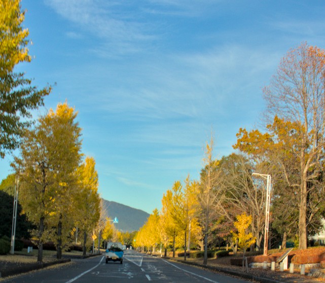 f:id:computer_philosopher:20211120234447j:plain