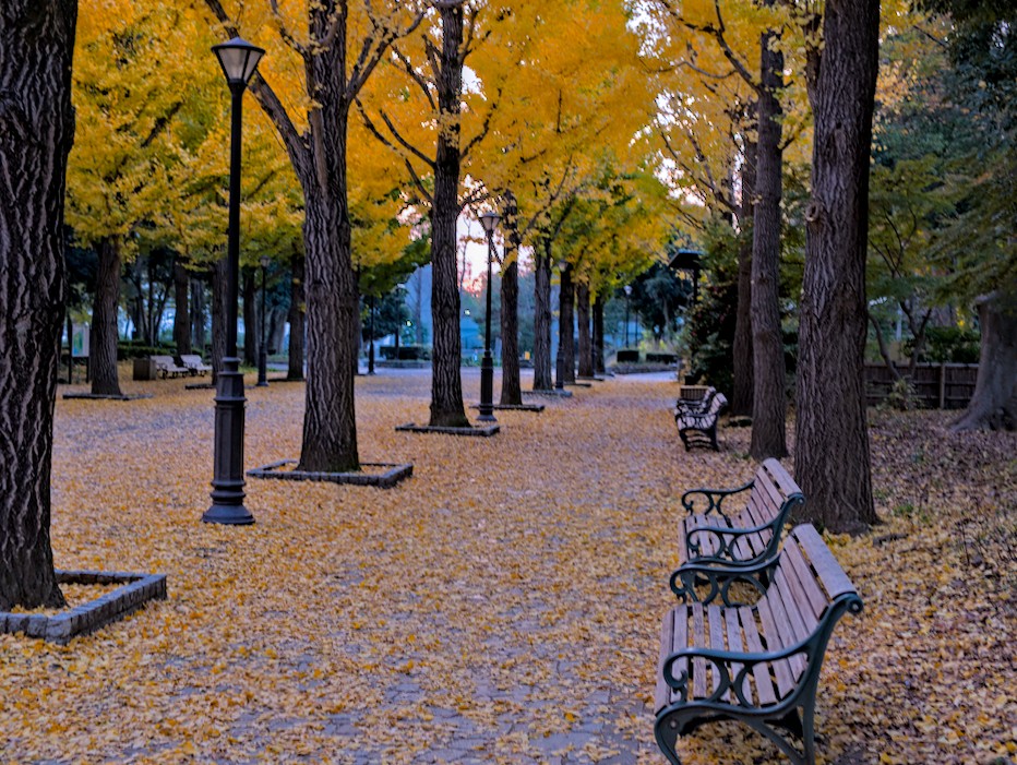 f:id:computer_philosopher:20211121225737j:plain