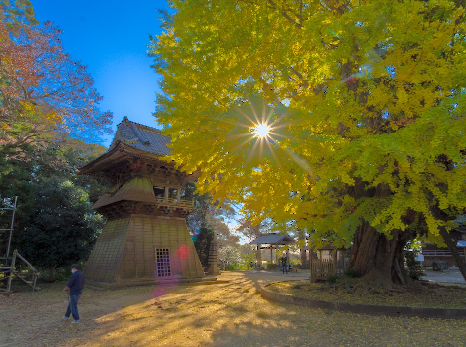 f:id:computer_philosopher:20211125120251j:plain