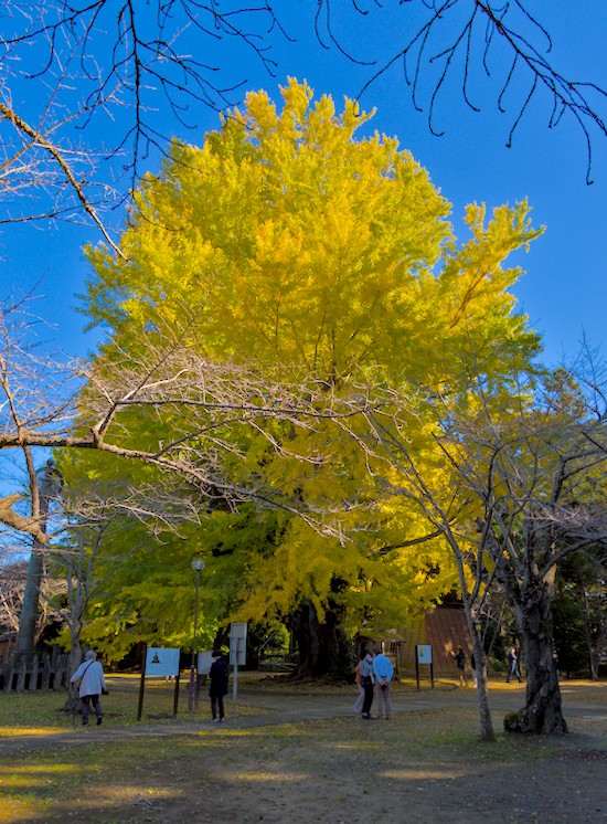 f:id:computer_philosopher:20211125120310j:plain