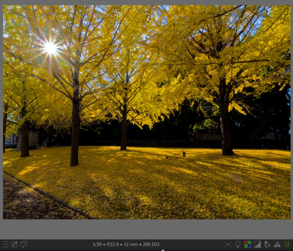 f:id:computer_philosopher:20211128222632j:plain