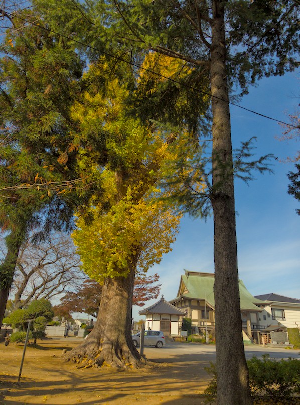 f:id:computer_philosopher:20211129172053j:plain