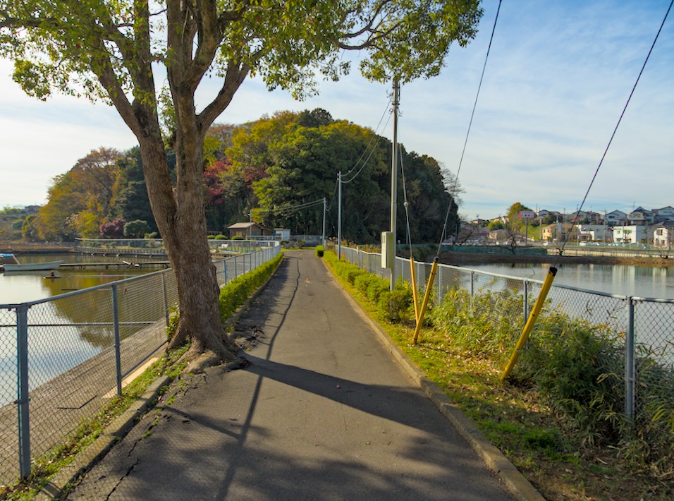 f:id:computer_philosopher:20211201092522j:plain