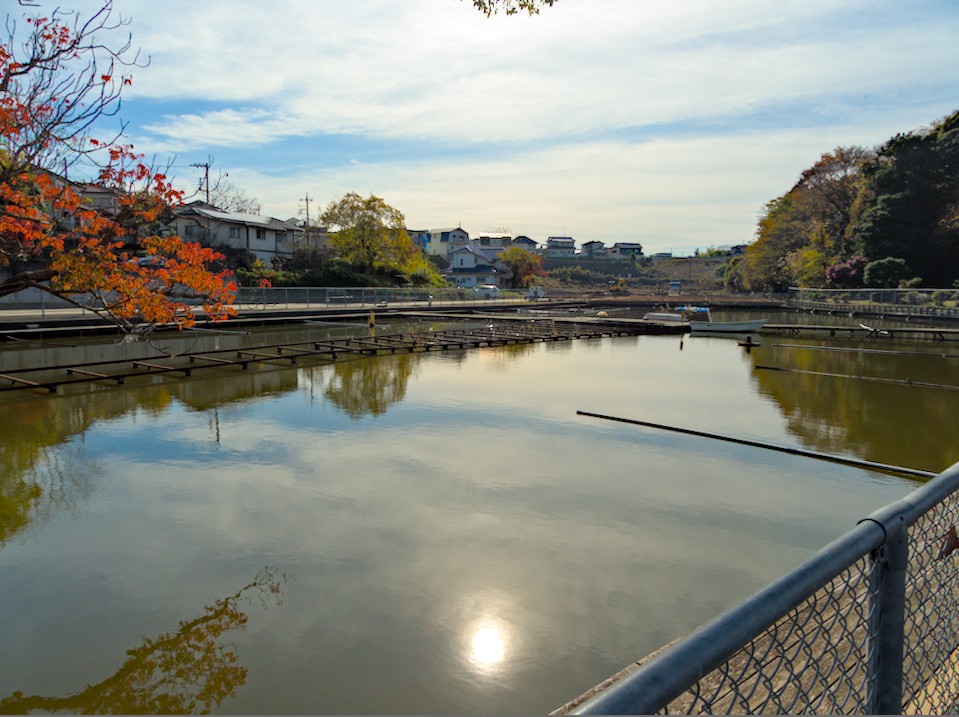 f:id:computer_philosopher:20211201092548j:plain