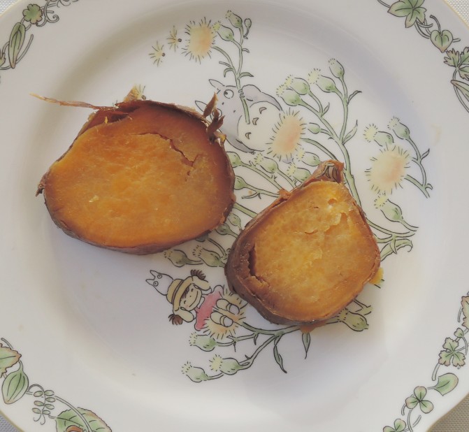 f:id:computer_philosopher:20211218104337j:plain