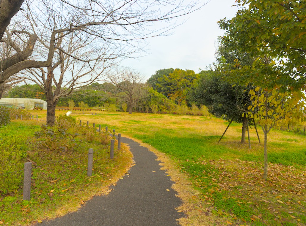 f:id:computer_philosopher:20211221233849j:plain