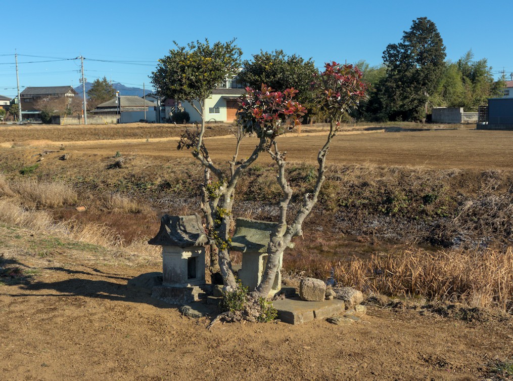 f:id:computer_philosopher:20220103133254j:plain