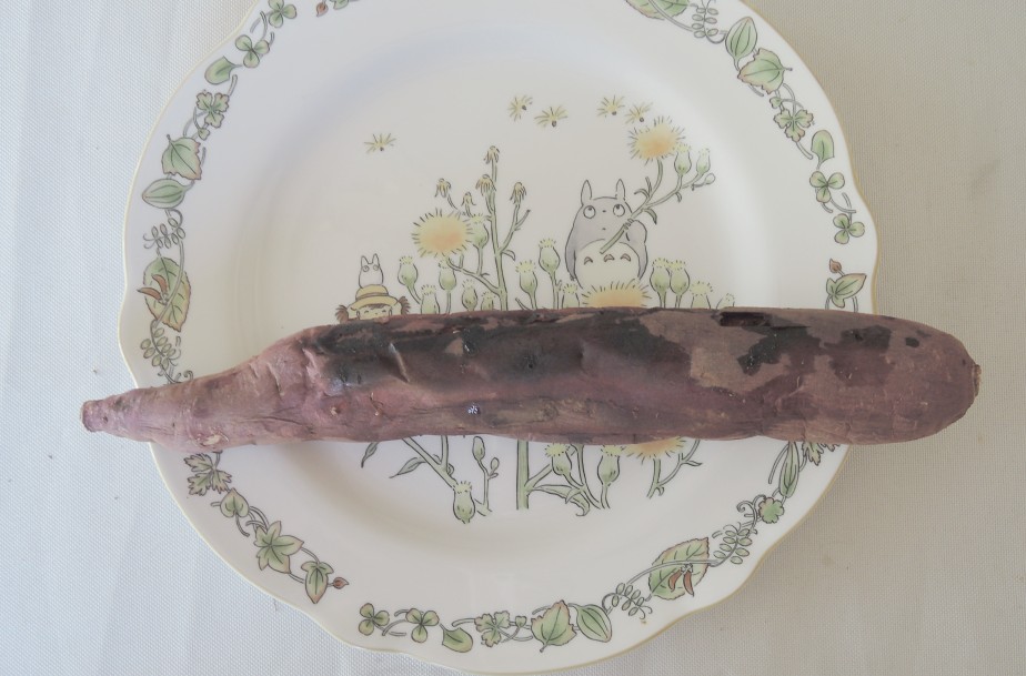 f:id:computer_philosopher:20220111124914j:plain