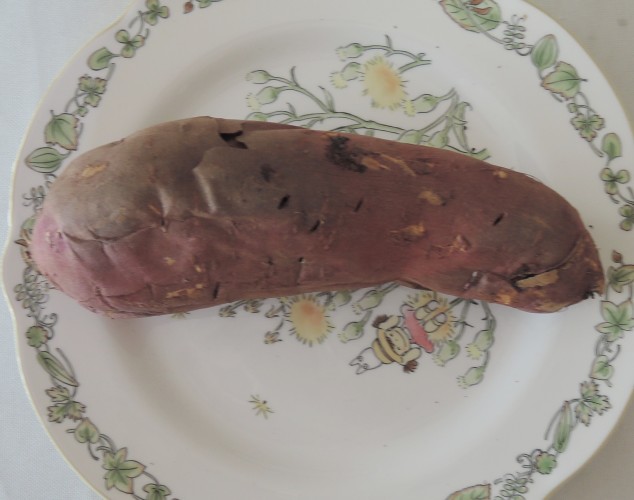 f:id:computer_philosopher:20220111125010j:plain