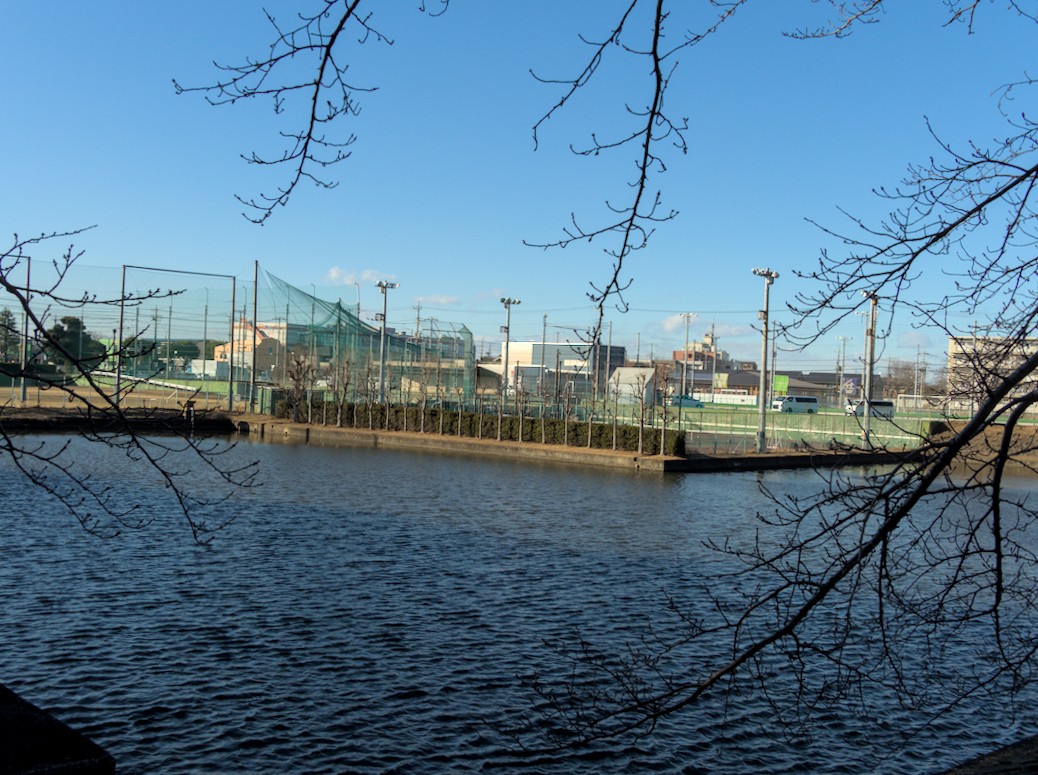 f:id:computer_philosopher:20220117233656j:plain