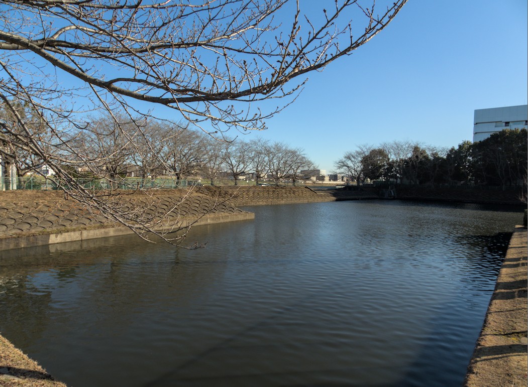 f:id:computer_philosopher:20220117233721j:plain