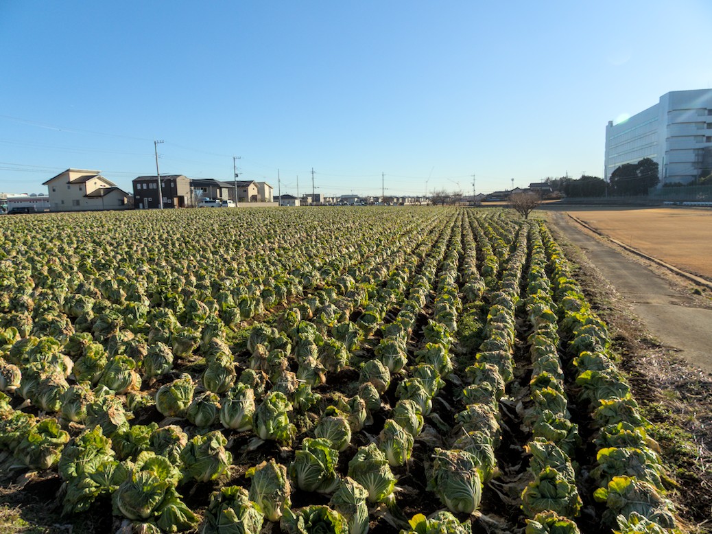 f:id:computer_philosopher:20220117233745j:plain