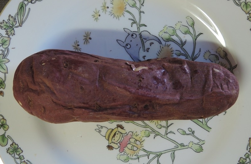 f:id:computer_philosopher:20220121225135j:plain