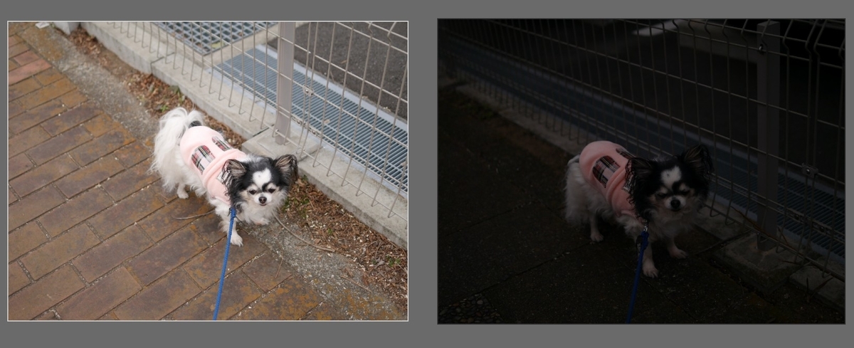 f:id:computer_philosopher:20220123233819j:plain