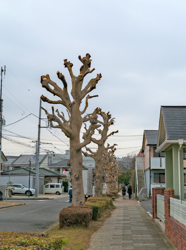 f:id:computer_philosopher:20220123233902j:plain