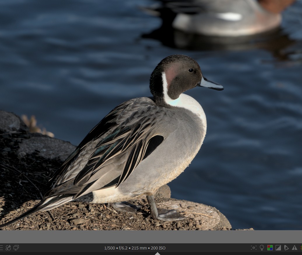 f:id:computer_philosopher:20220124234717j:plain