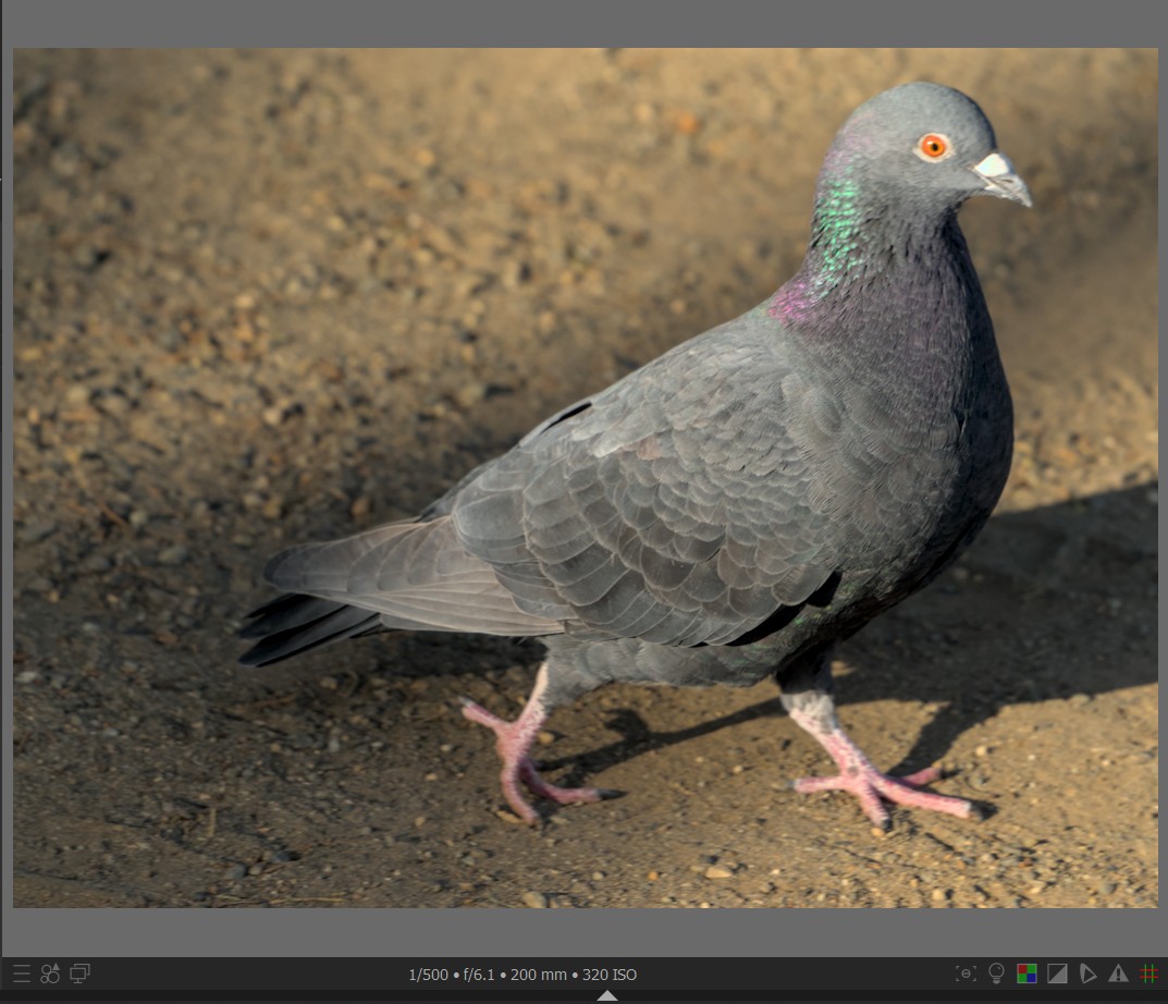 f:id:computer_philosopher:20220124234814j:plain