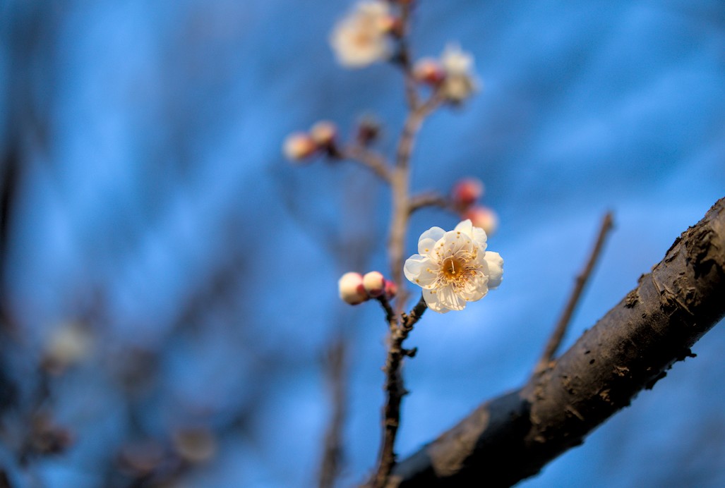 f:id:computer_philosopher:20220126225514j:plain