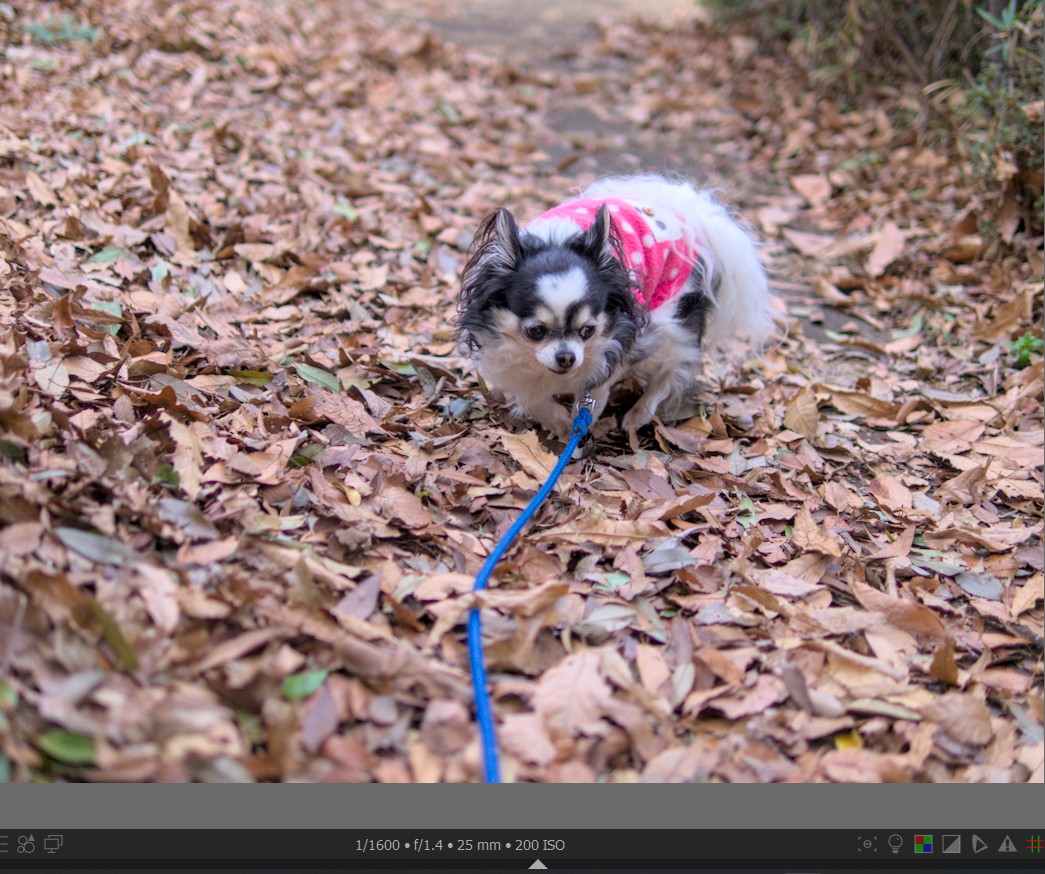 f:id:computer_philosopher:20220126225559j:plain