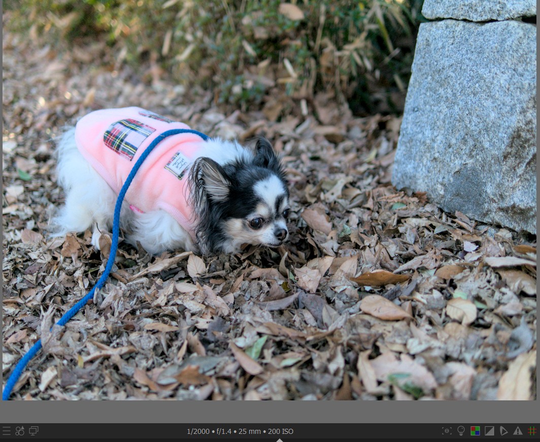 f:id:computer_philosopher:20220126225630j:plain