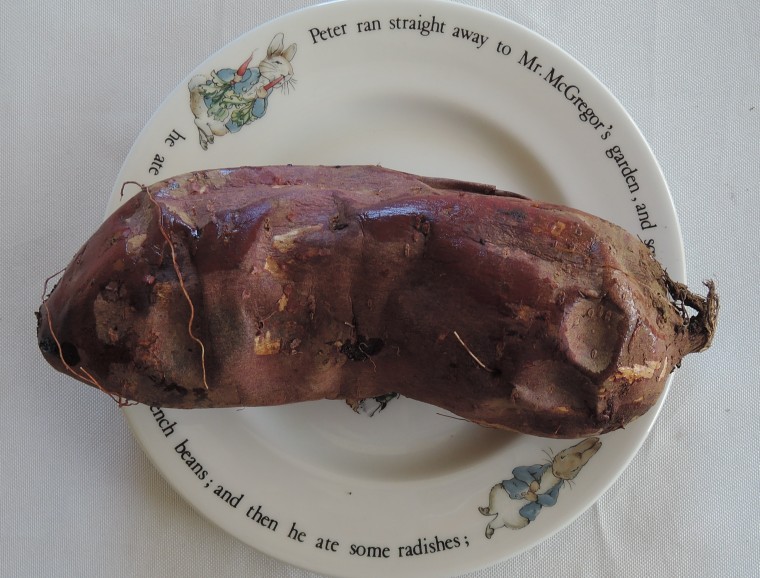 f:id:computer_philosopher:20220131232126j:plain