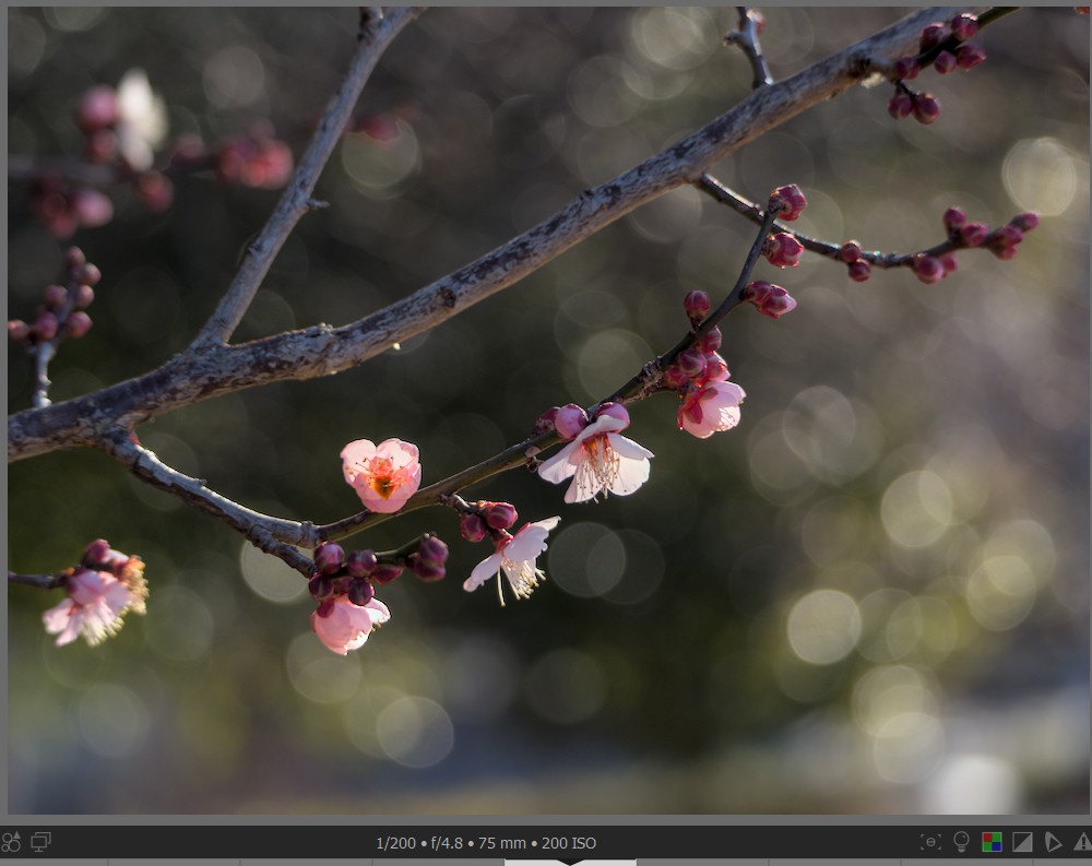 f:id:computer_philosopher:20220209232542j:plain