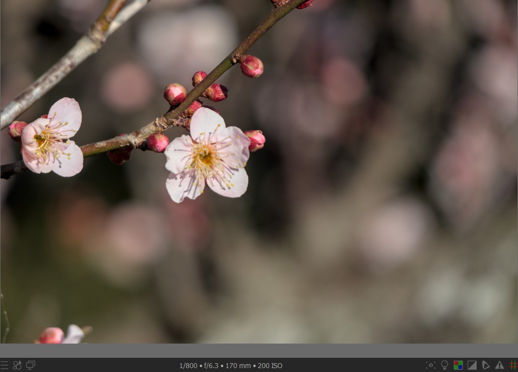 f:id:computer_philosopher:20220209232600j:plain