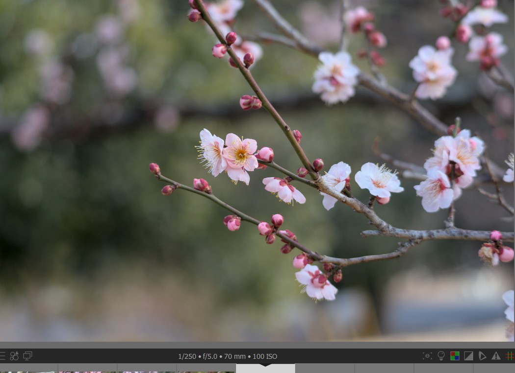 f:id:computer_philosopher:20220209232618j:plain