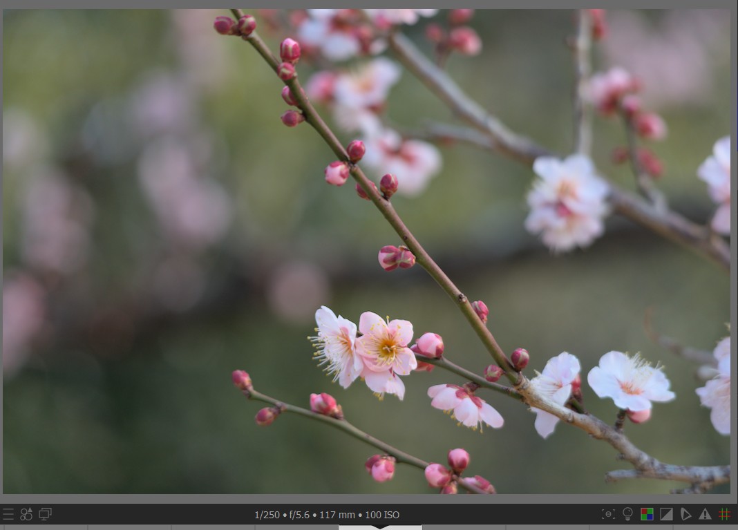 f:id:computer_philosopher:20220209232632j:plain