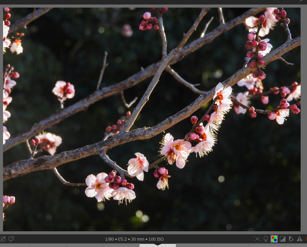 f:id:computer_philosopher:20220219234204j:plain