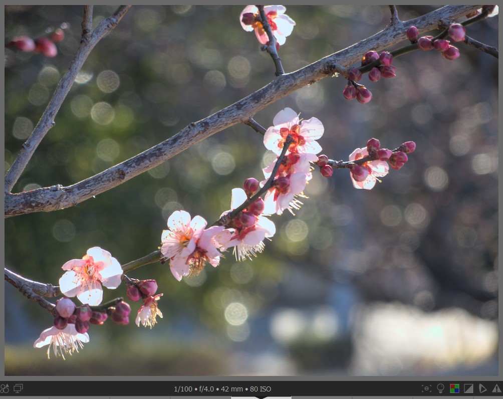 f:id:computer_philosopher:20220219234218j:plain