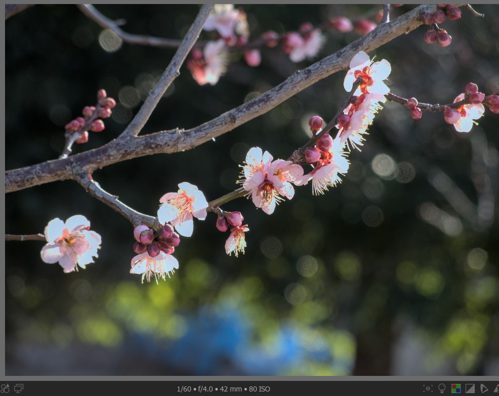 f:id:computer_philosopher:20220219234235j:plain