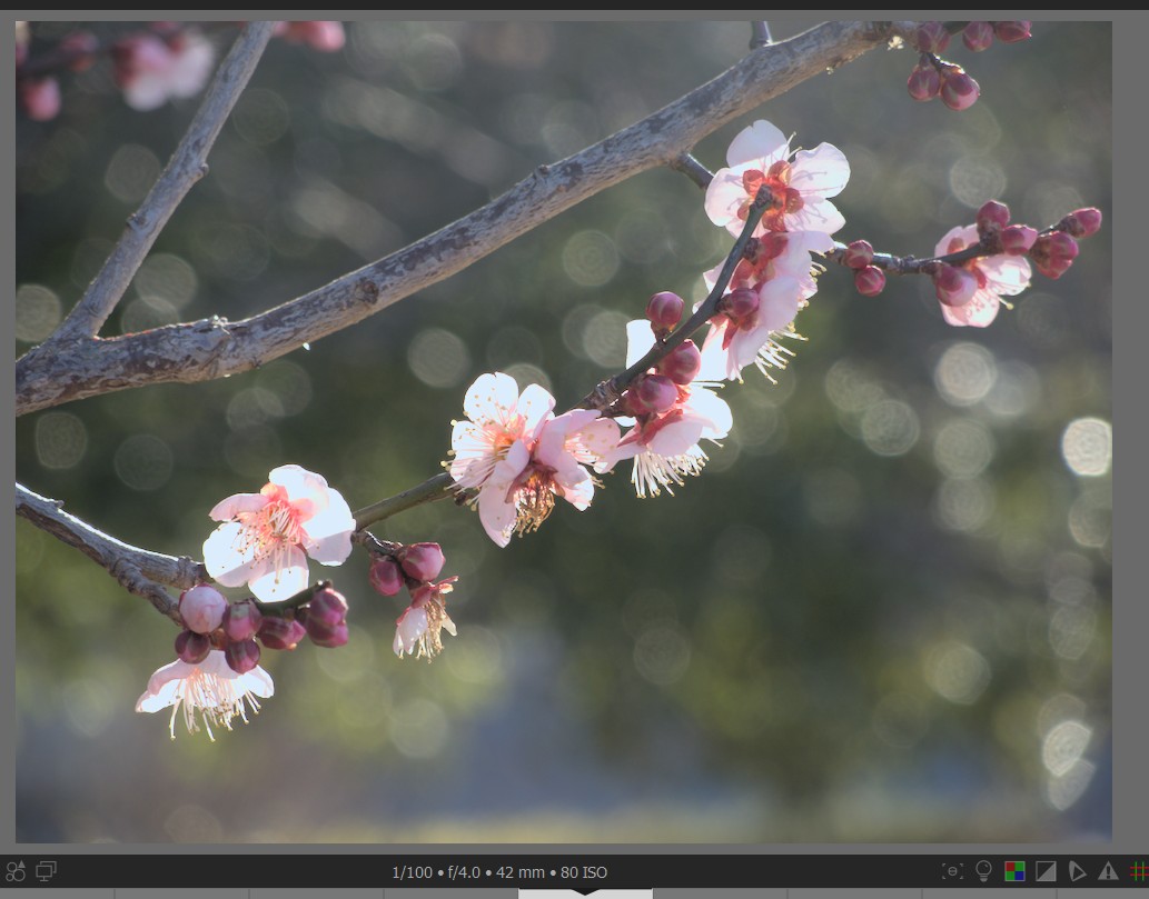 f:id:computer_philosopher:20220219234253j:plain