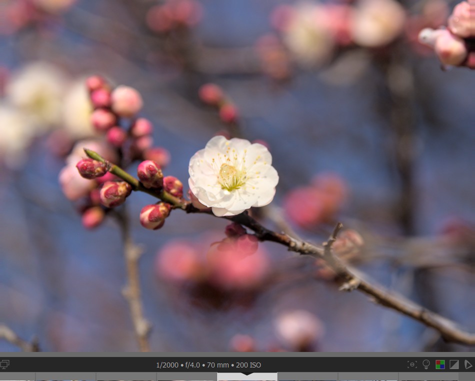 f:id:computer_philosopher:20220303234155j:plain