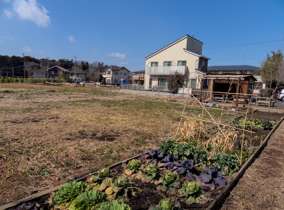 カフェメモリーズ つくば市とその周辺の風景写真案内 ７０１ Computer Philosopher S Diary