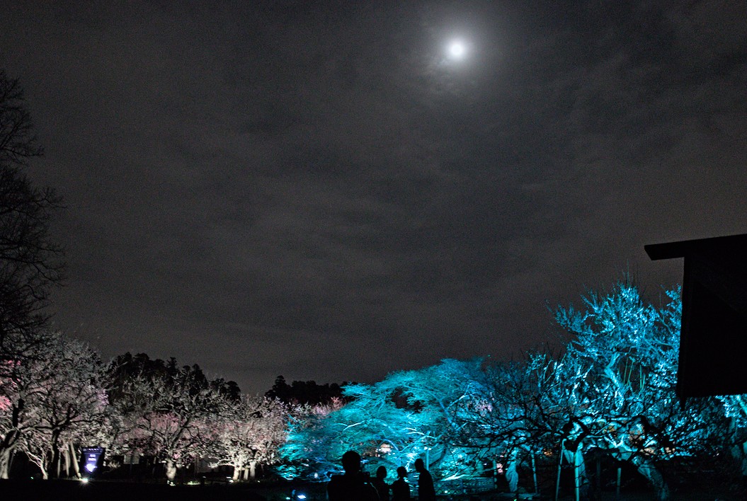 f:id:computer_philosopher:20220319223656j:plain