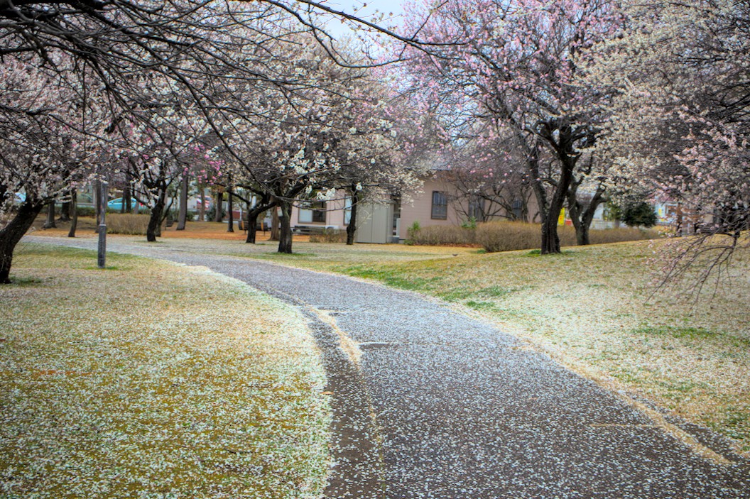 f:id:computer_philosopher:20220321223735j:plain