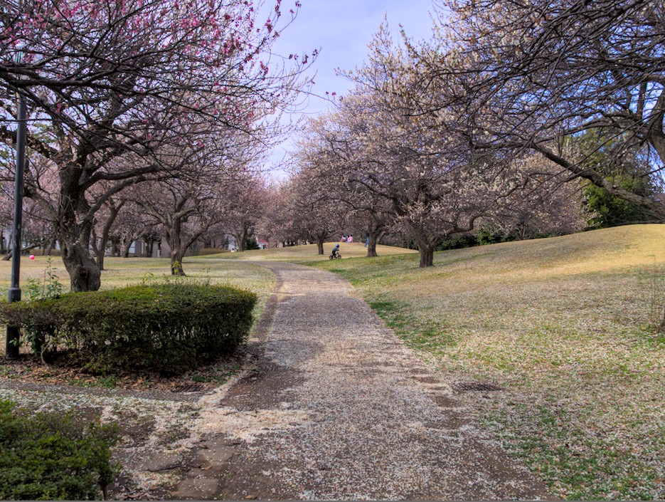 f:id:computer_philosopher:20220321223749j:plain