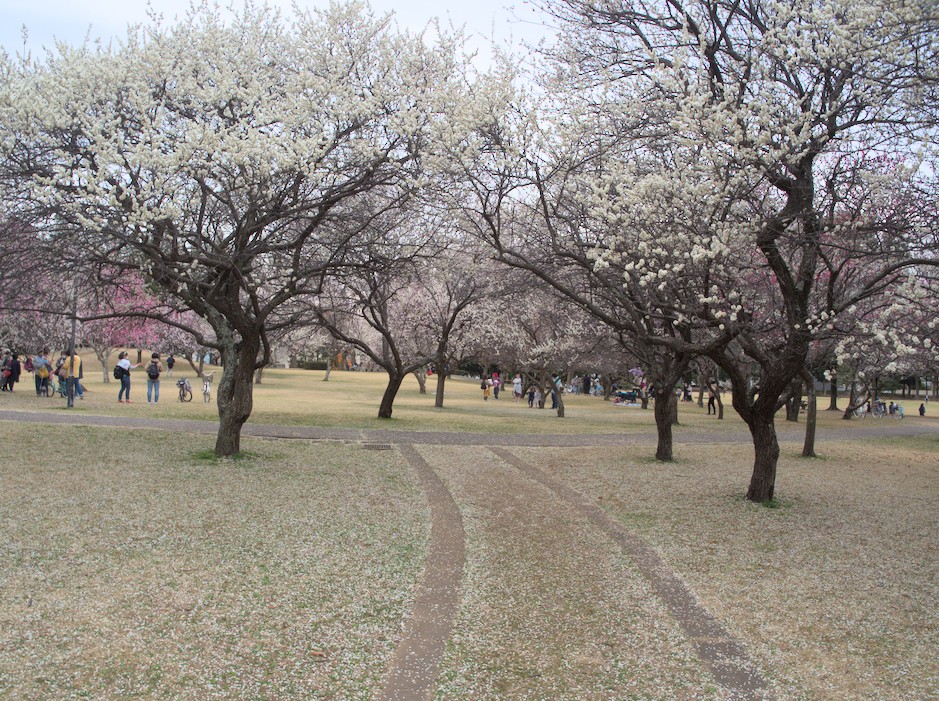 f:id:computer_philosopher:20220321223804j:plain