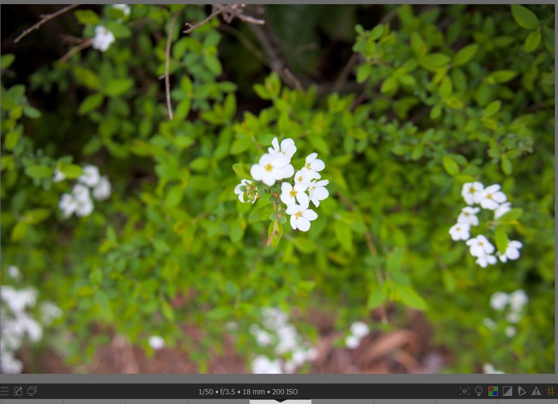 f:id:computer_philosopher:20220401225237j:plain