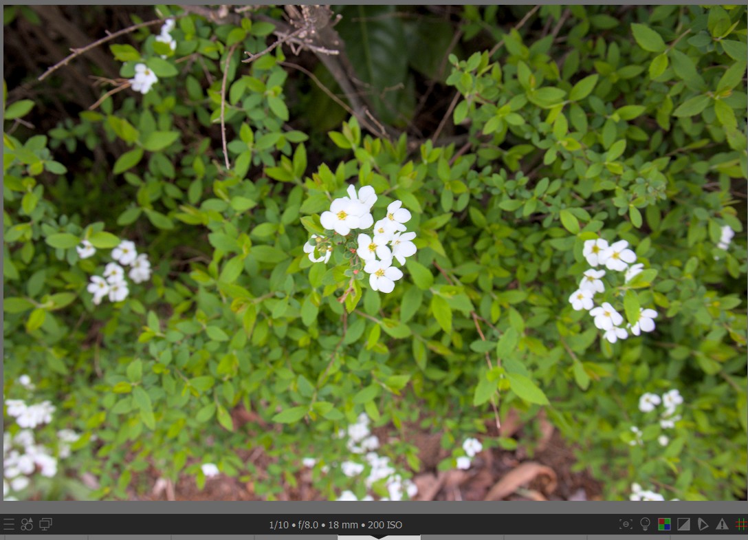 f:id:computer_philosopher:20220401225249j:plain