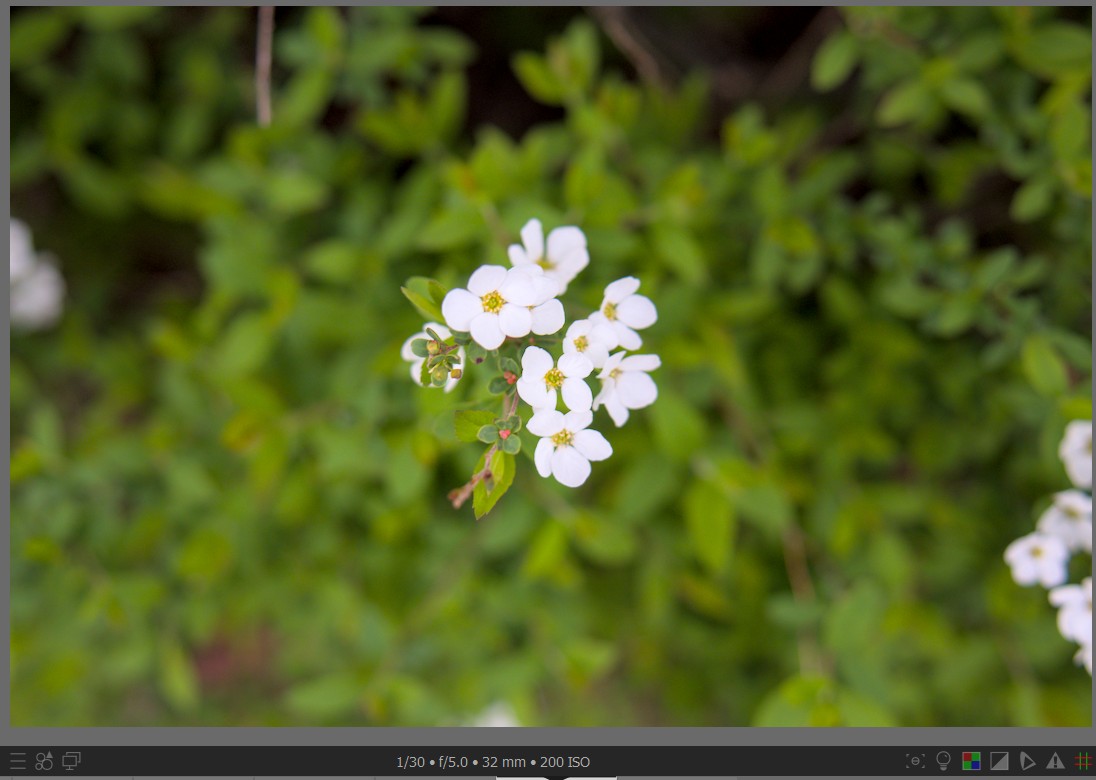 f:id:computer_philosopher:20220401225302j:plain