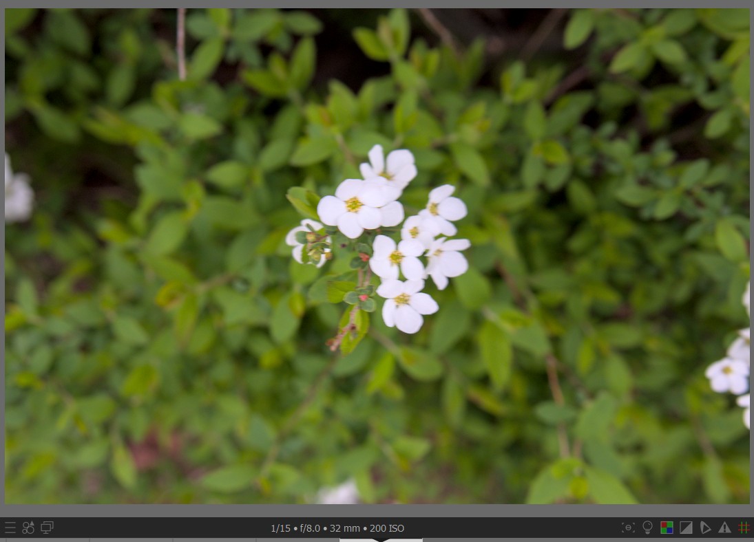 f:id:computer_philosopher:20220401225314j:plain