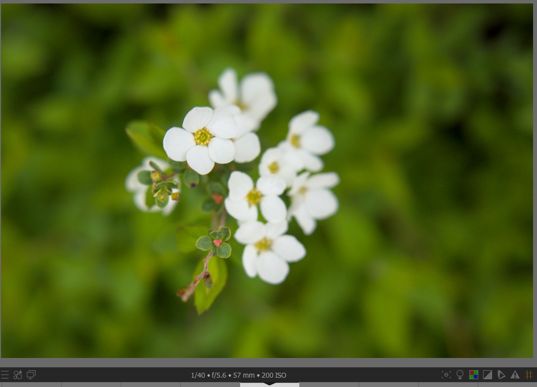 f:id:computer_philosopher:20220401225335j:plain