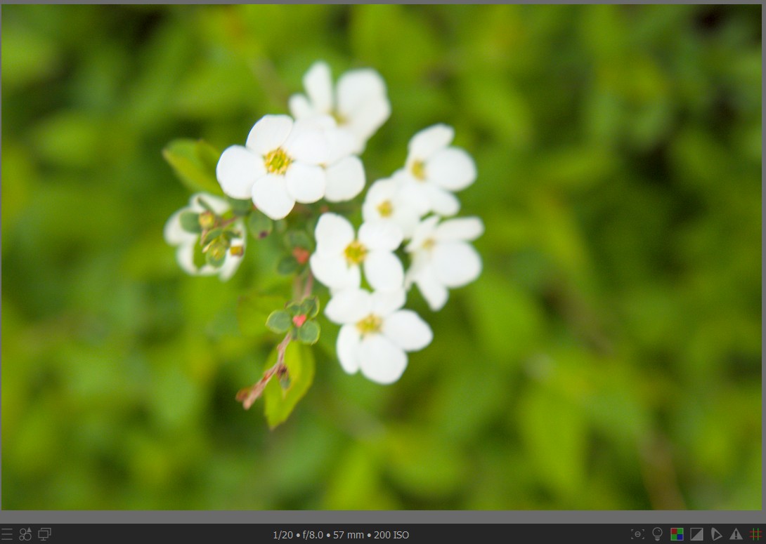 f:id:computer_philosopher:20220401225347j:plain