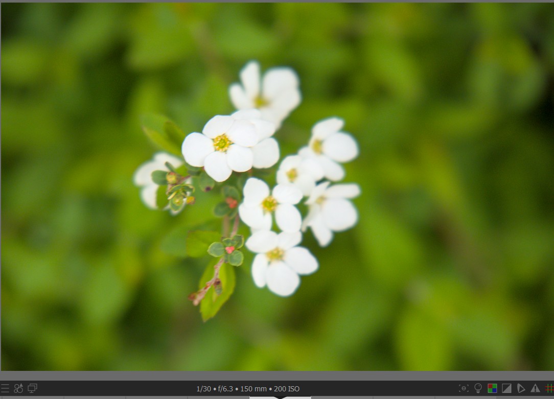 f:id:computer_philosopher:20220401225402j:plain